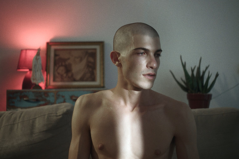 Watch-List: Nocturnal Instincts – sexed-up short films from around the world