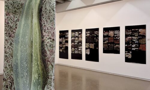 Discover Individual Visions at The Solo Project