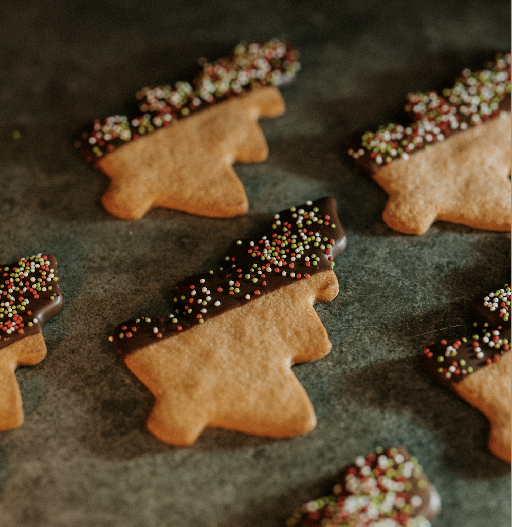 Philip’s Winter Collection, Considered