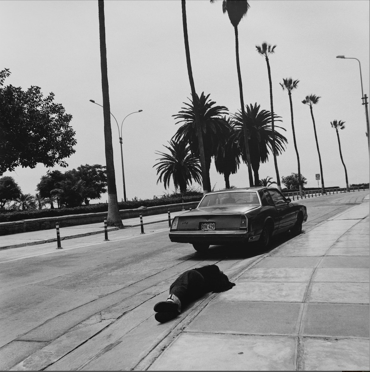 Fondation A: Where the Body Becomes Archive